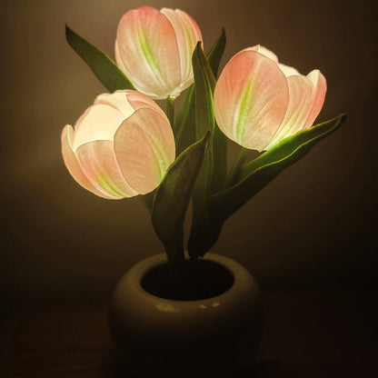 LumaBloom – Sofort jeden Raum mit warmem, einladendem Licht erhellen