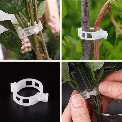 PlantBuddy™ | StemStabilisers - Keep your garden stable and strong!