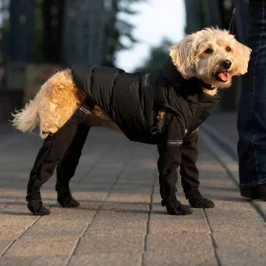 Wasserdichte Pfotenschützer für Hunde für Outdoor-Abenteuer