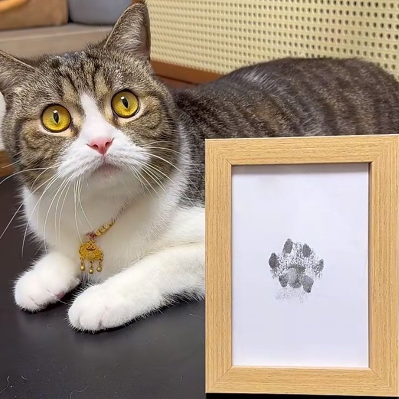 💖🐶🐱Paw print kit