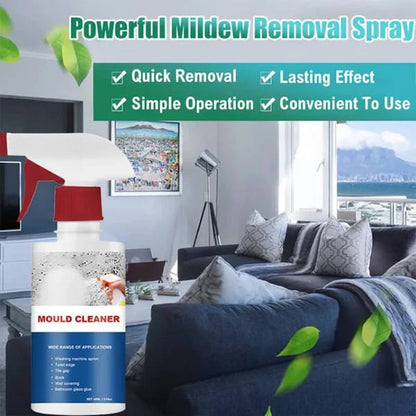 MoldGone™ | Powerful Spray
