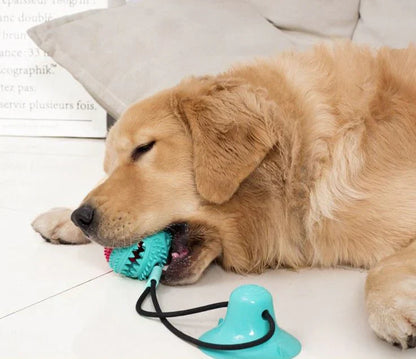 ChewMaster™ – Interactive Dog Toy with Suction Cup