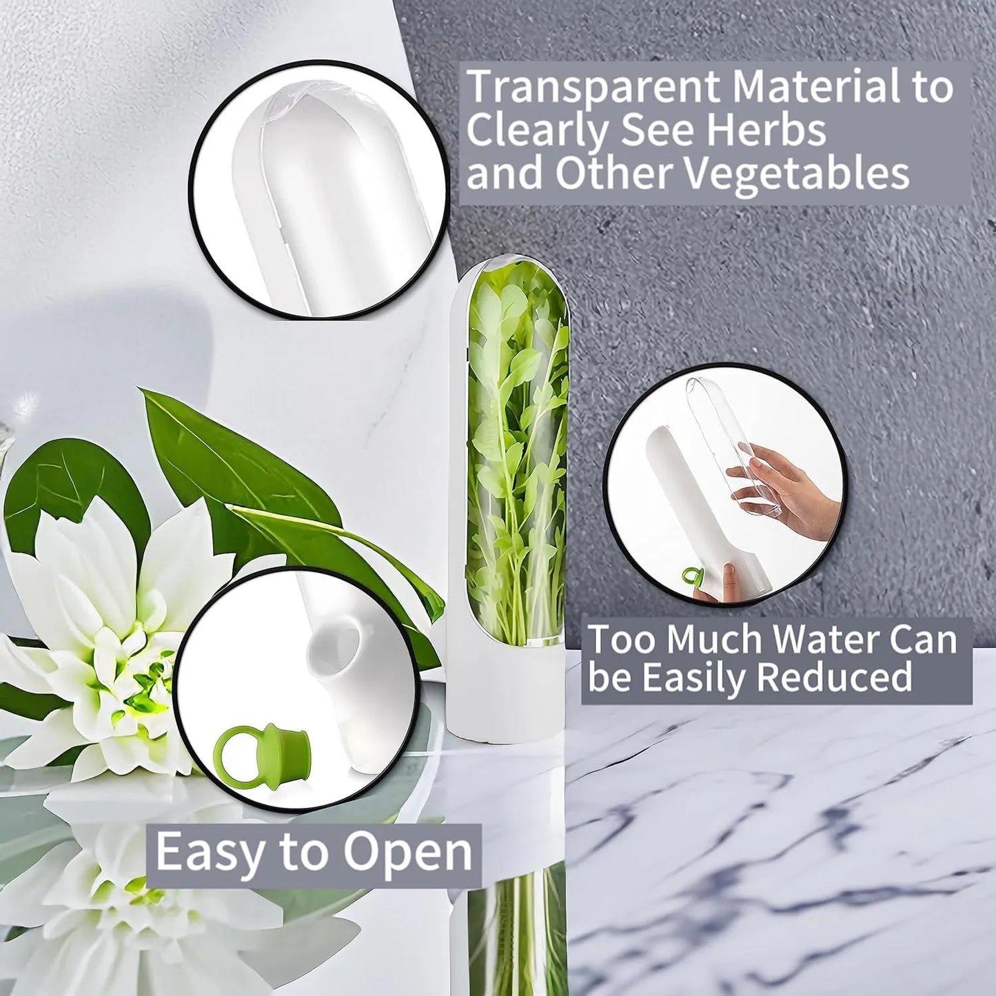 HerbPod™ | Fresh-keeping container for vegetables and herbs
