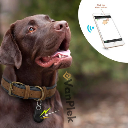 DogCatFri™ | PetTracker - Bluetooth and GPS wireless pet tracker 