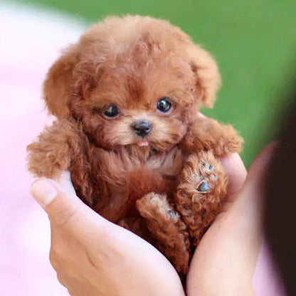 Pawtrix™ | Ultra-realistic robot puppy with lifelike movements