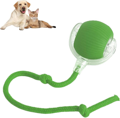 AutoPaws™ | Automatic, self-moving