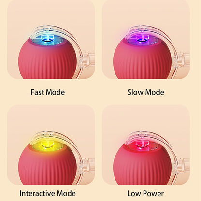 AutoPaws™ | Automatic, self-moving