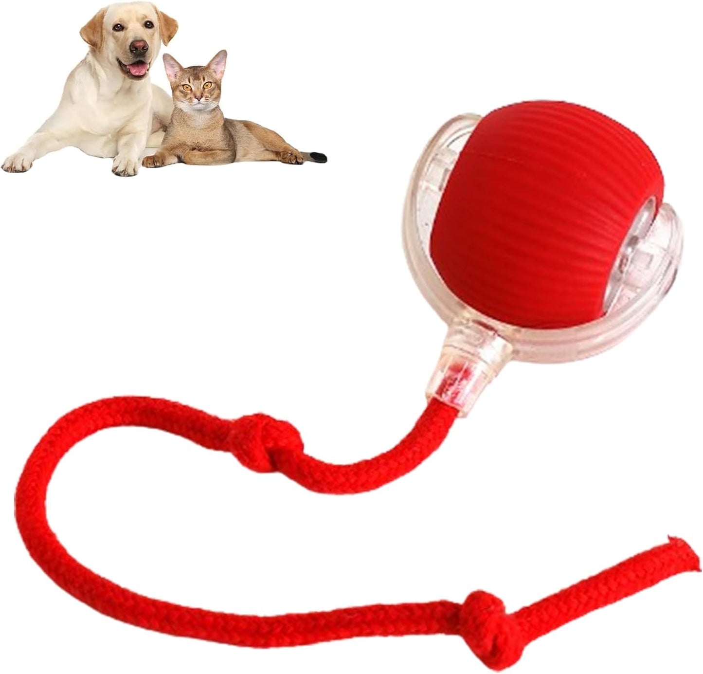 AutoPaws™ | Automatic, self-moving