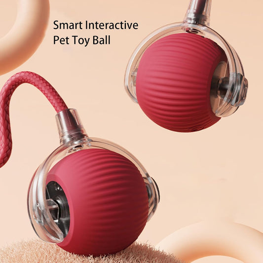 AutoPaws™ | Automatic, self-moving