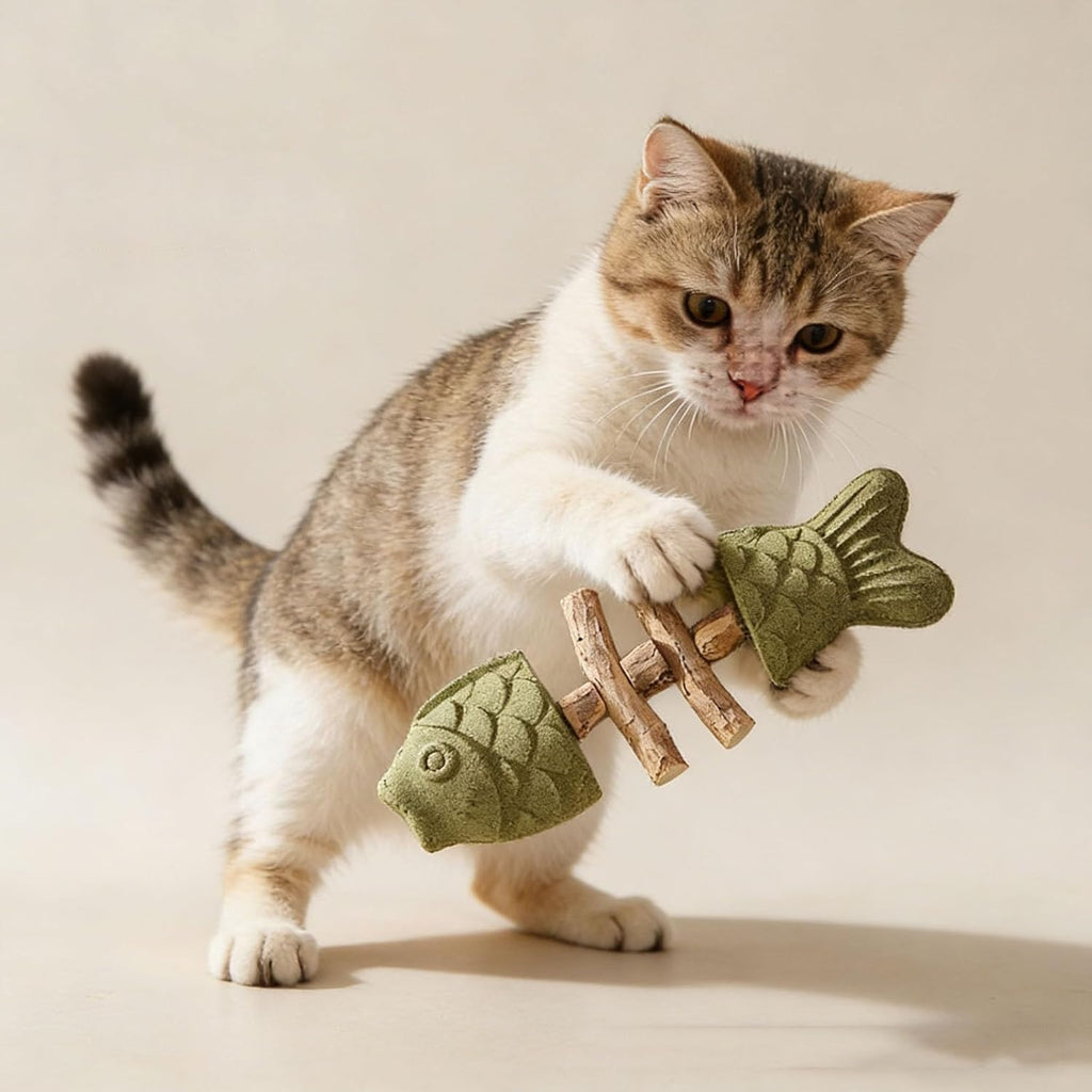 Beruhigt Katzen auf natürliche Weise und reinigt sanft die Zähne
