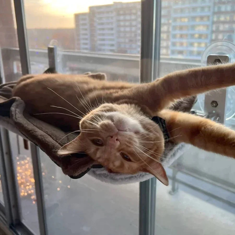 HappyMeoww™ - Supreme cat hangmat [laatste dag korting]