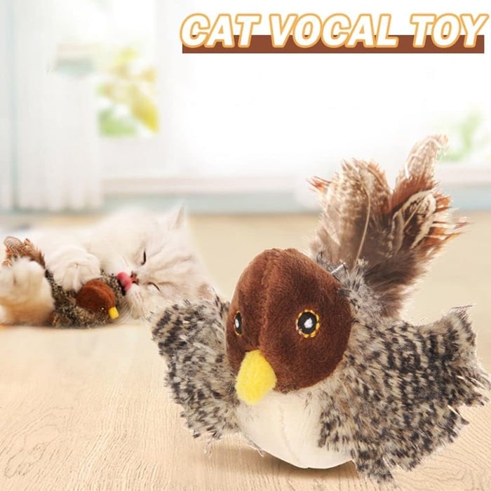 Petalk™ | Your cat will never be bored again