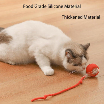 AutoPaws™ | Automatic, self-moving