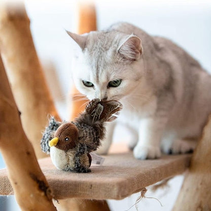 Petalk™ | Your cat will never be bored again