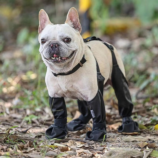 PawGrip™ | Waterproof dog boots with rubber sole