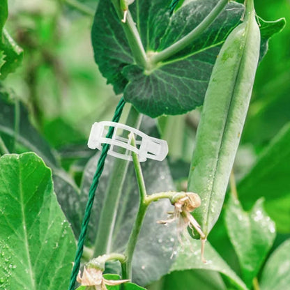 PlantBuddy™ | StemStabilisers - Keep your garden stable and strong!