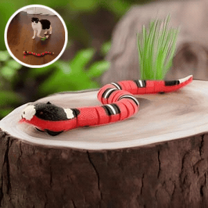 50% off | SnakeToy™ - Smart Cat Toy [Last Day Discount]