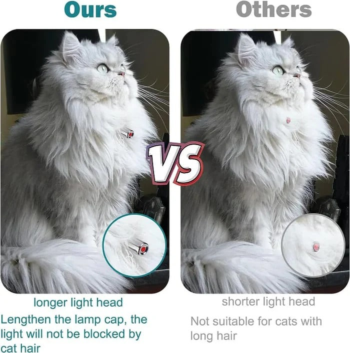 PawLuxe™ - Interaktives Laser-Spielzeughalsband für Katzen