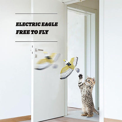 1+1 Free | KittyFrenzy™ - Automatically Moving Simulation Bird [Last Day Discount]