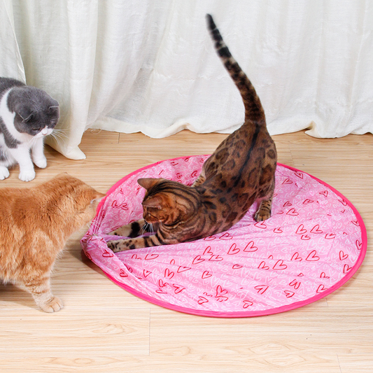 50% off | CatDance™ - Activate your cat's natural instincts! [Last day discount]
