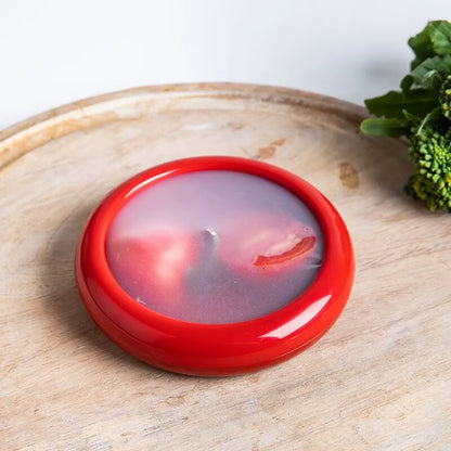 FreshGuard™ | Reusable Food Storage Box
