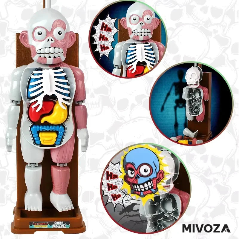 50% OFF | OrganCreep™ Creepy Human Body Model