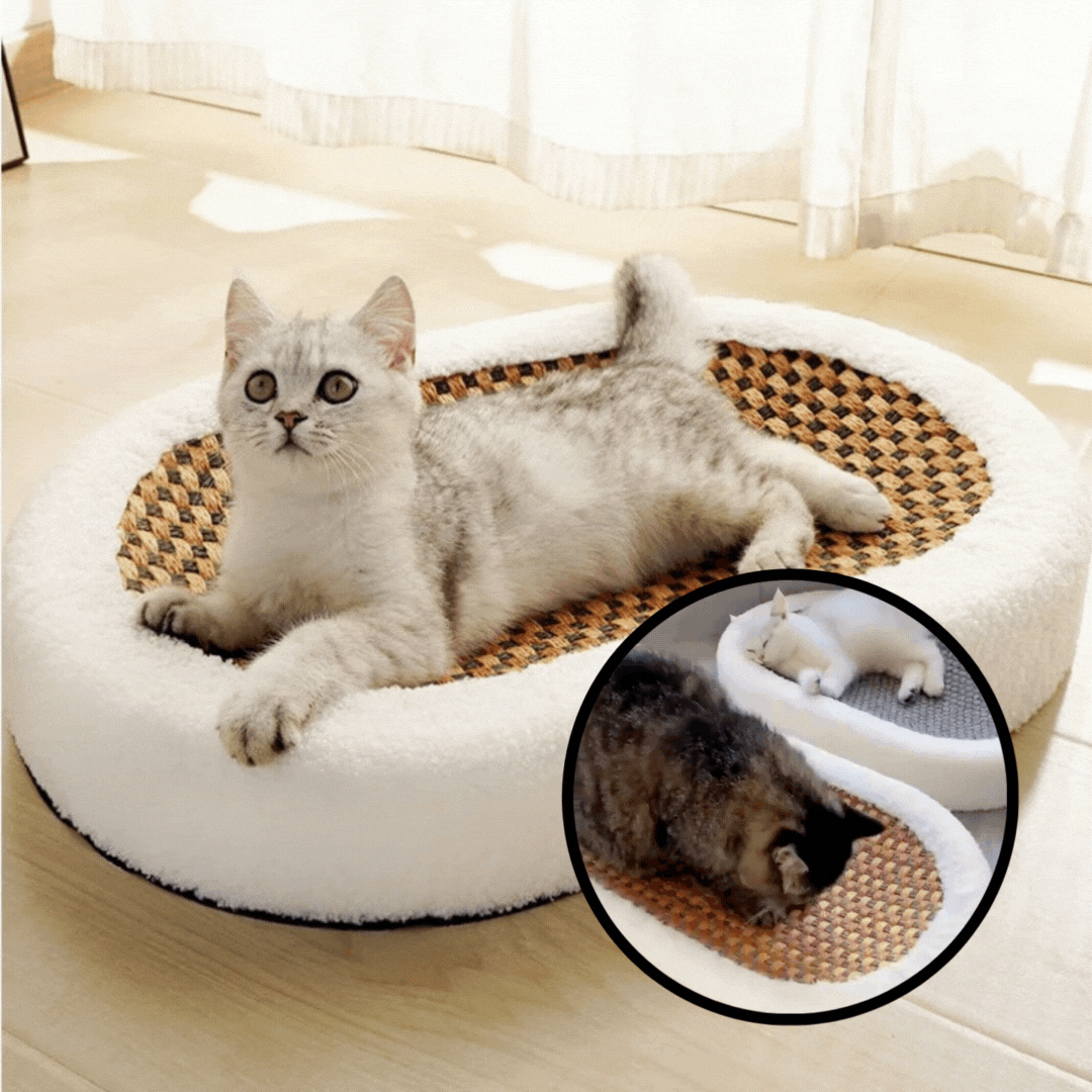 Plüsch-Katzenbett mit kratzbarer Oberfläche