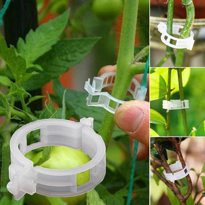 PlantBuddy™ | StemStabilisers - Keep your garden stable and strong!