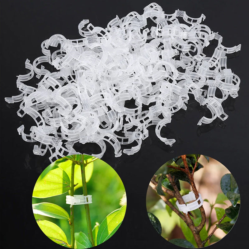 PlantBuddy™ | StemStabilisers - Keep your garden stable and strong!
