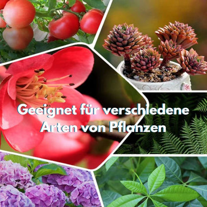 GrowBoost™ | Brings plants back to life!
