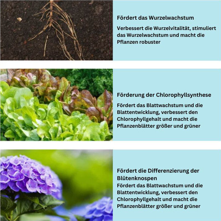 GrowBoost™ | Brings plants back to life!