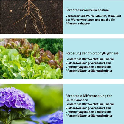 GrowBoost™ | Brings plants back to life!