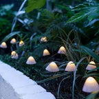 Belevaro LED-Gartenbeleuchtung im abendlichen Garten