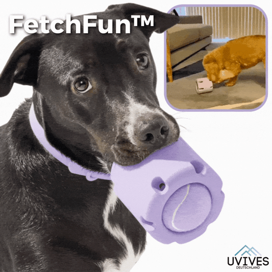 FetchFun™ | Tennis dog chew toy