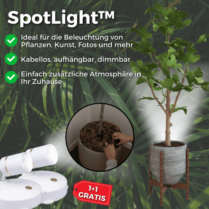 1+1 Free | SpotLight™️ - Wireless LED Spotlight [Last Day Discount]