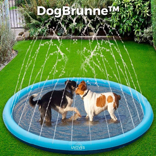 DogBrunne™ - Keep your loyal friend cool on hot summer days! 
