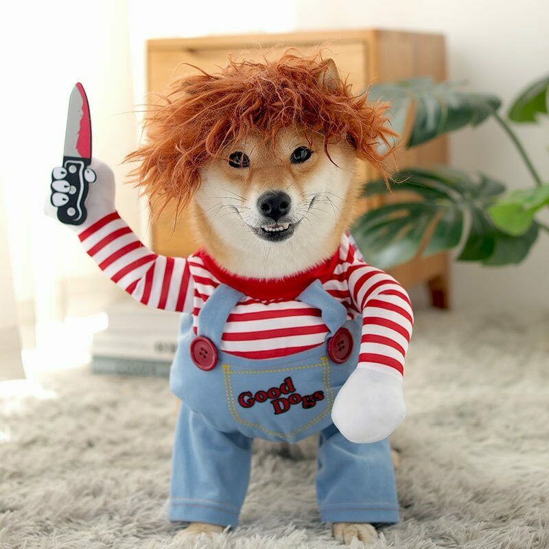 50% OFF | ChuckyDog™ | The Halloween costume for your dog!
