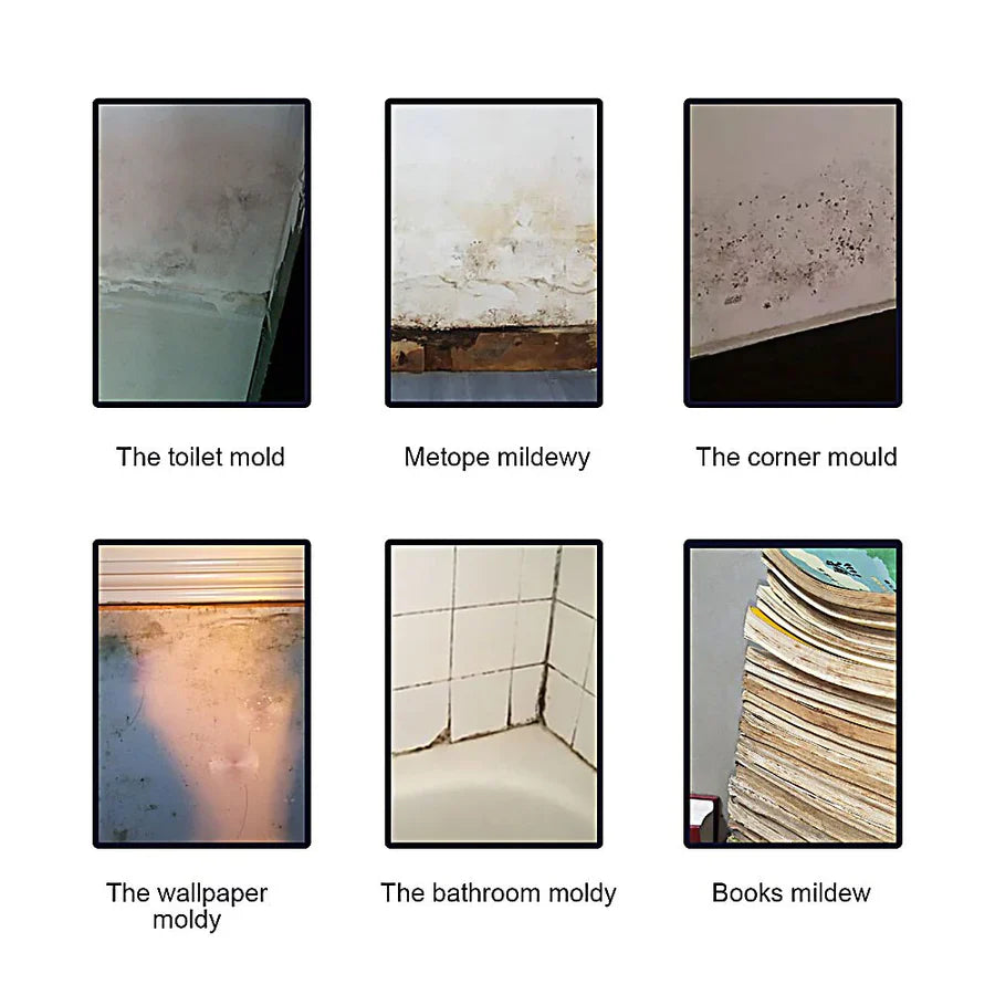 50% off | MoldRemove™ | Mold Removal Solution