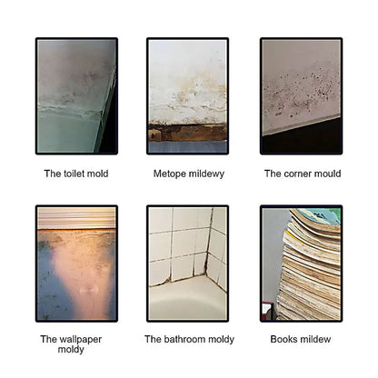50% off | MoldRemove™ | Mold Removal Solution