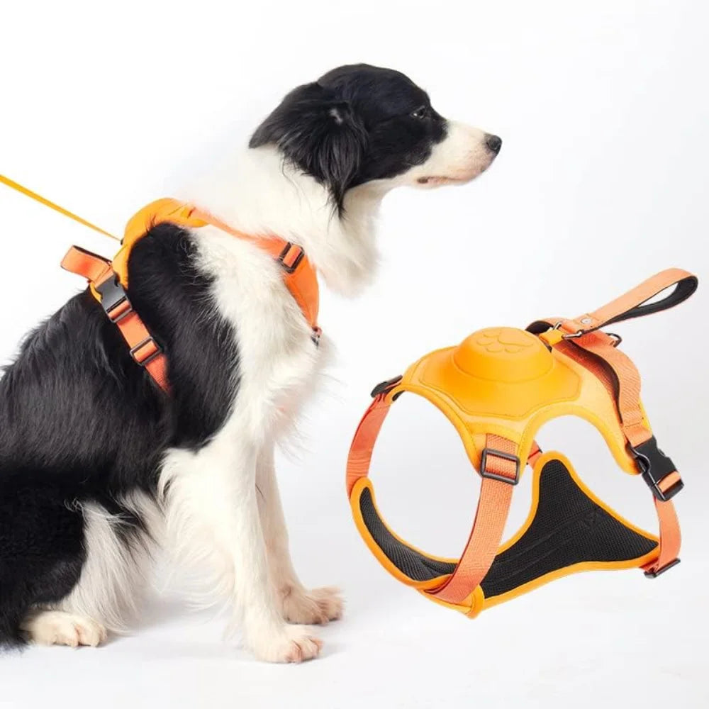 LeashLead™ | Dog Harness