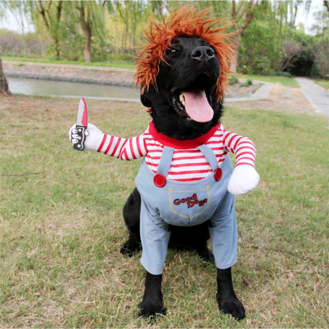 50% OFF | ChuckyDog™ | The Halloween costume for your dog!