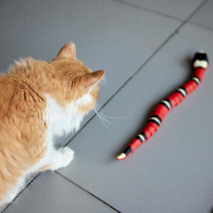 50% off | SnakeToy™ - Smart Cat Toy [Last Day Discount]