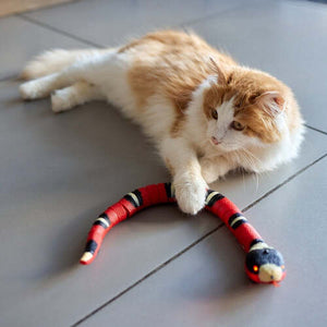 50% off | SnakeToy™ - Smart Cat Toy [Last Day Discount]