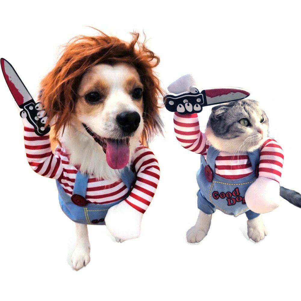 50% OFF | ChuckyDog™ | The Halloween costume for your dog!