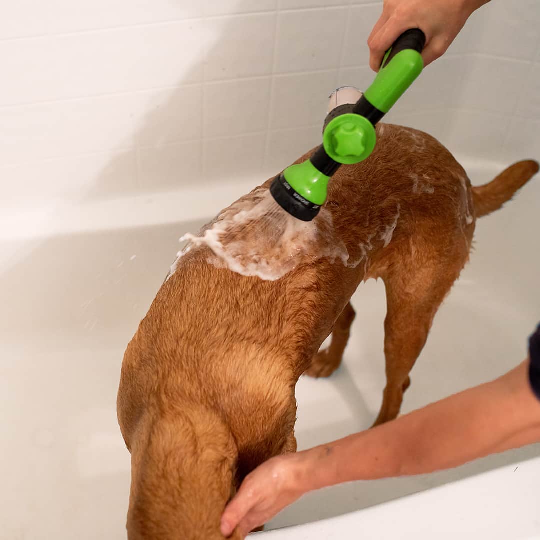 FoamClean™ | Adjustable spray nozzle for cleaning pet fur