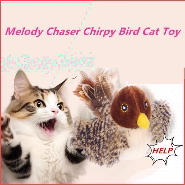 Petalk™ | Your cat will never be bored again