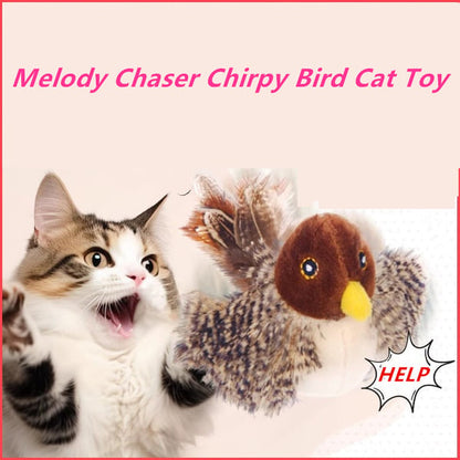 Petalk™ | Your cat will never be bored again