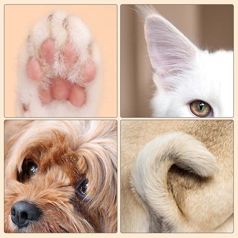 ShinePaws™ - LED Haustierpflege-Schermaschine