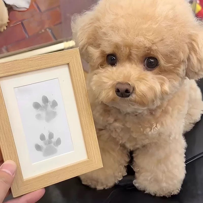 💖🐶🐱Paw print kit