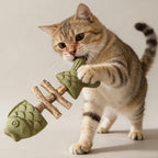 Beruhigt Katzen auf natürliche Weise und reinigt sanft die Zähne